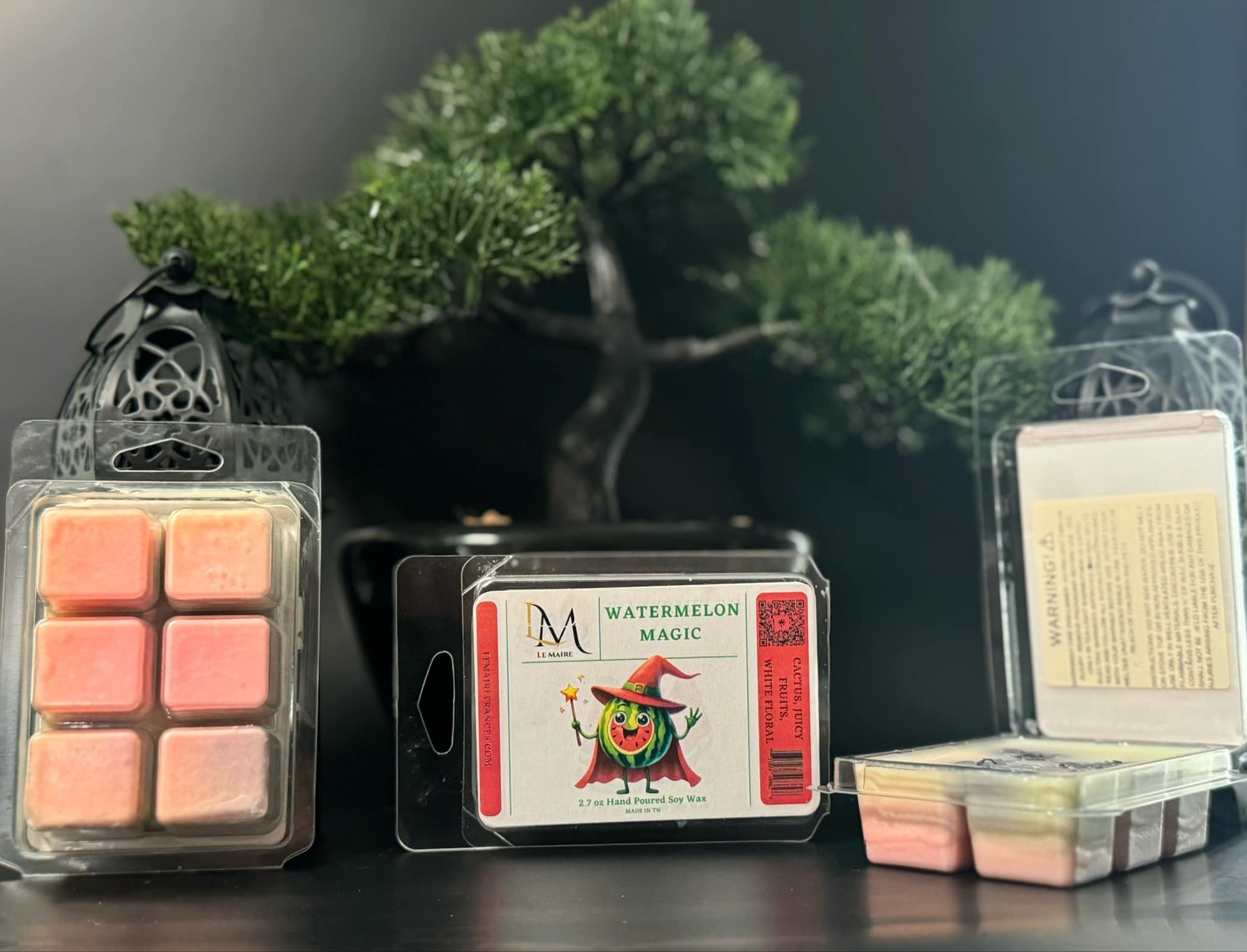 Watermelon Magic Soy Wax MeltWax MeltLe Maire